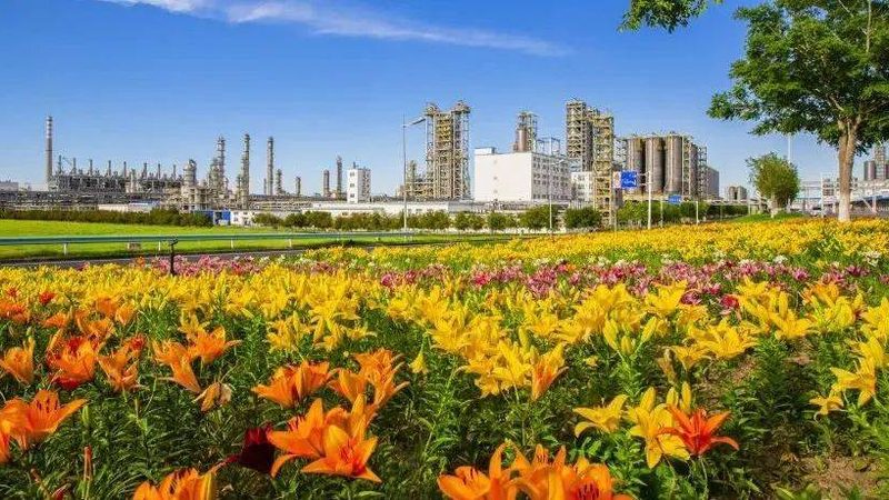 高分子材料成本构成揭秘：影响价格的关键因素**